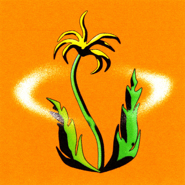 square album cover with orange background and illustration of plant in the middle (looks like a dandelion)